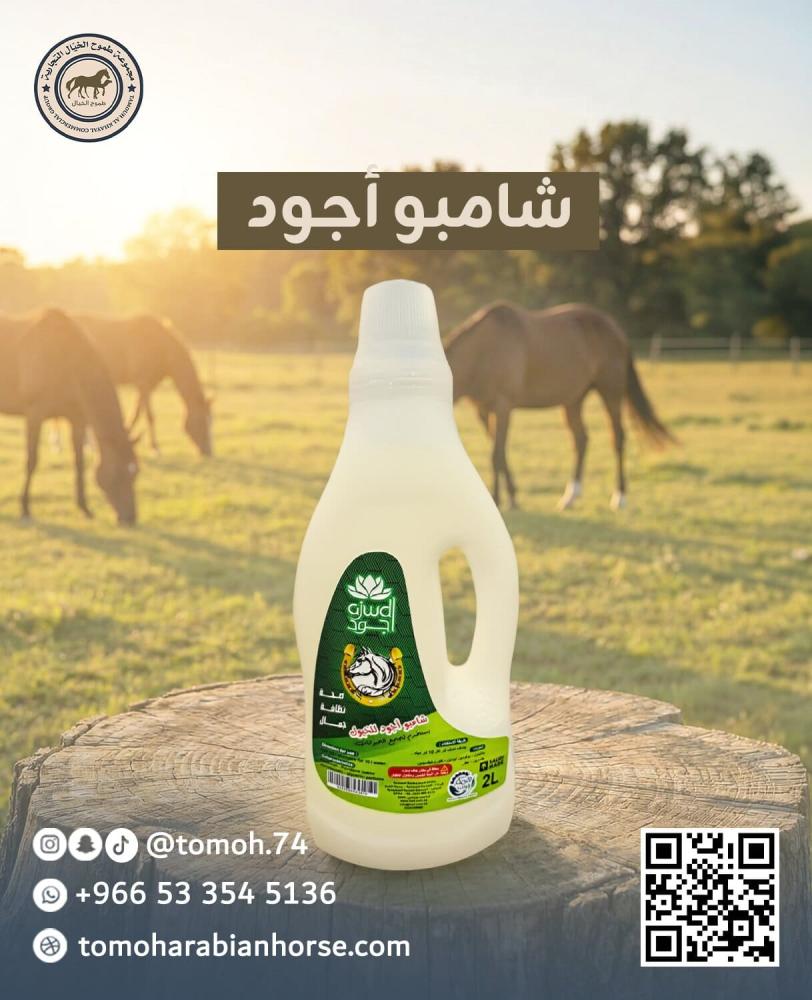 شامبو اجود