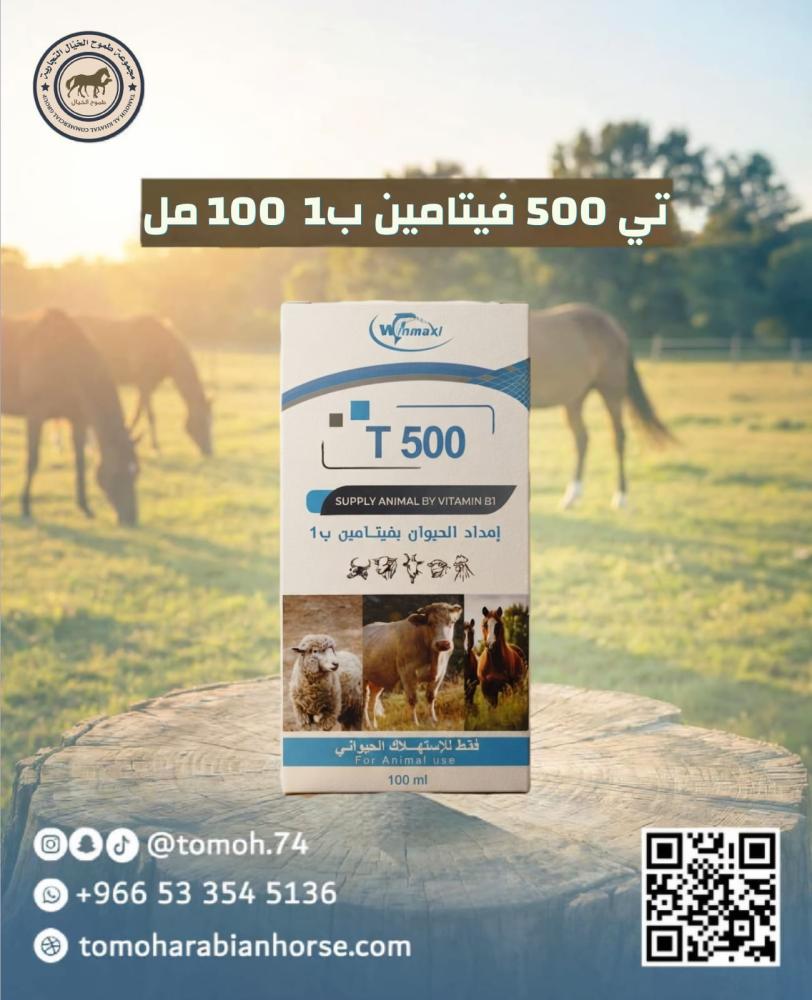 تي 500 T فيتامين بي 1