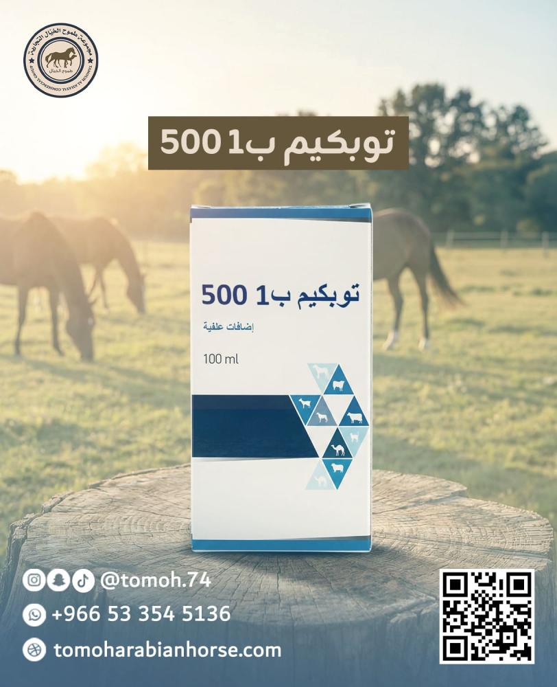 فيتامين بي 1 للخيل لدعم طاقة الخيل ومضاعفة الأداء