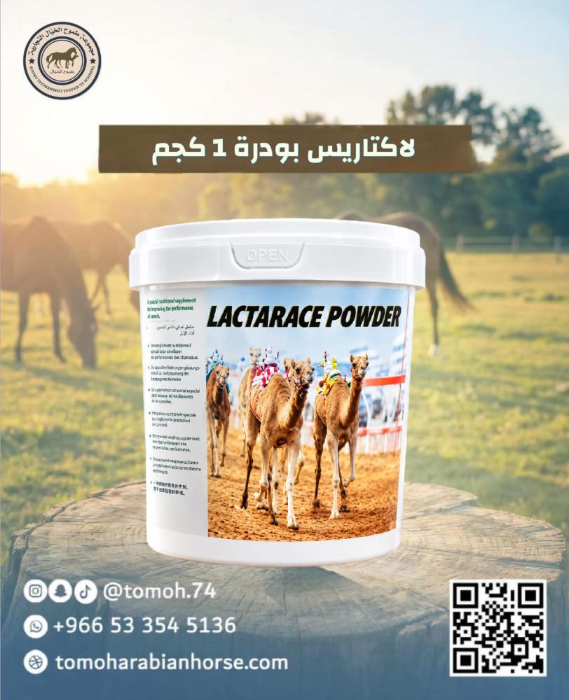 LACTARACE POWDER لاكتنيز بودرة حجم كيلو ونصف