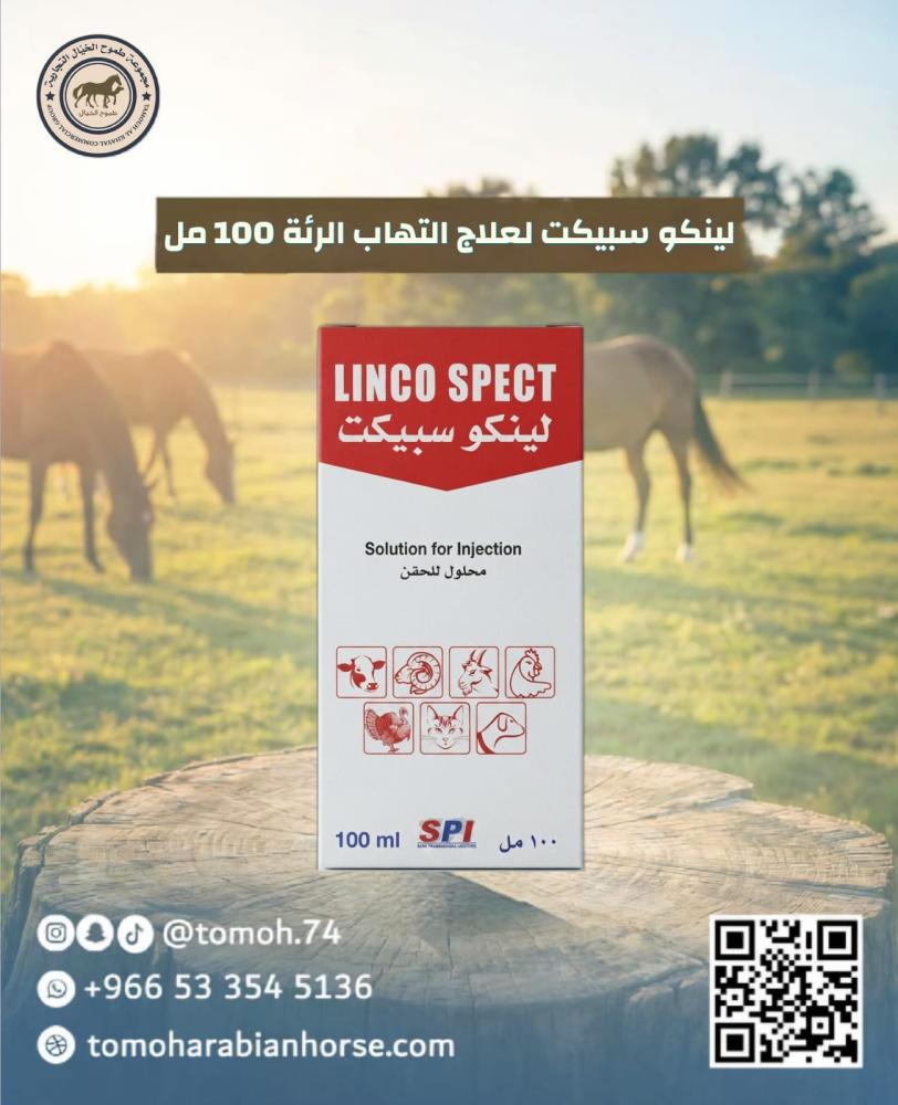 لينكو سبيكت LINCO SPECT 100 ml