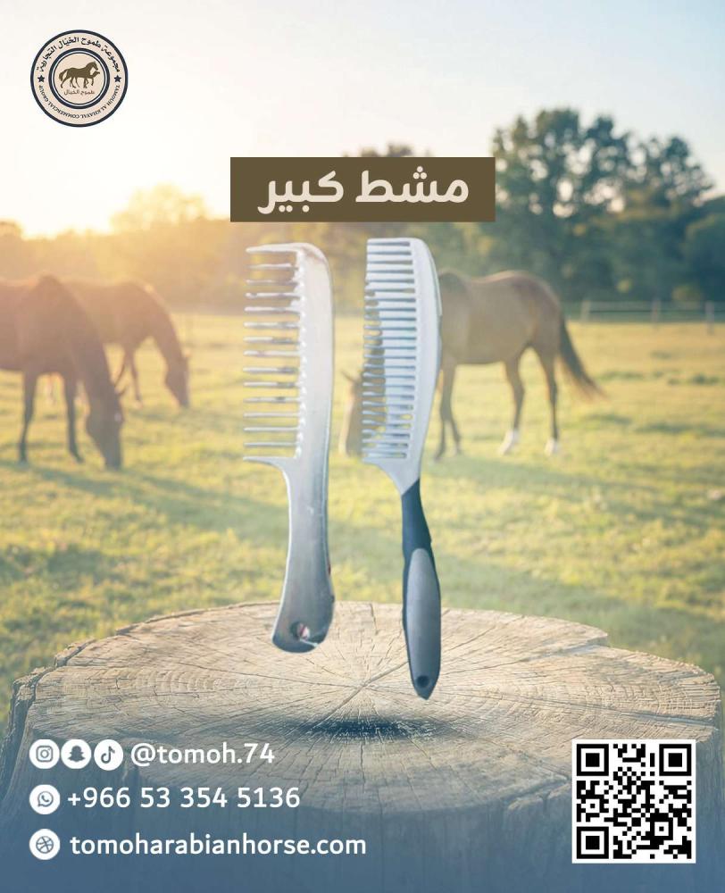مشط كبير