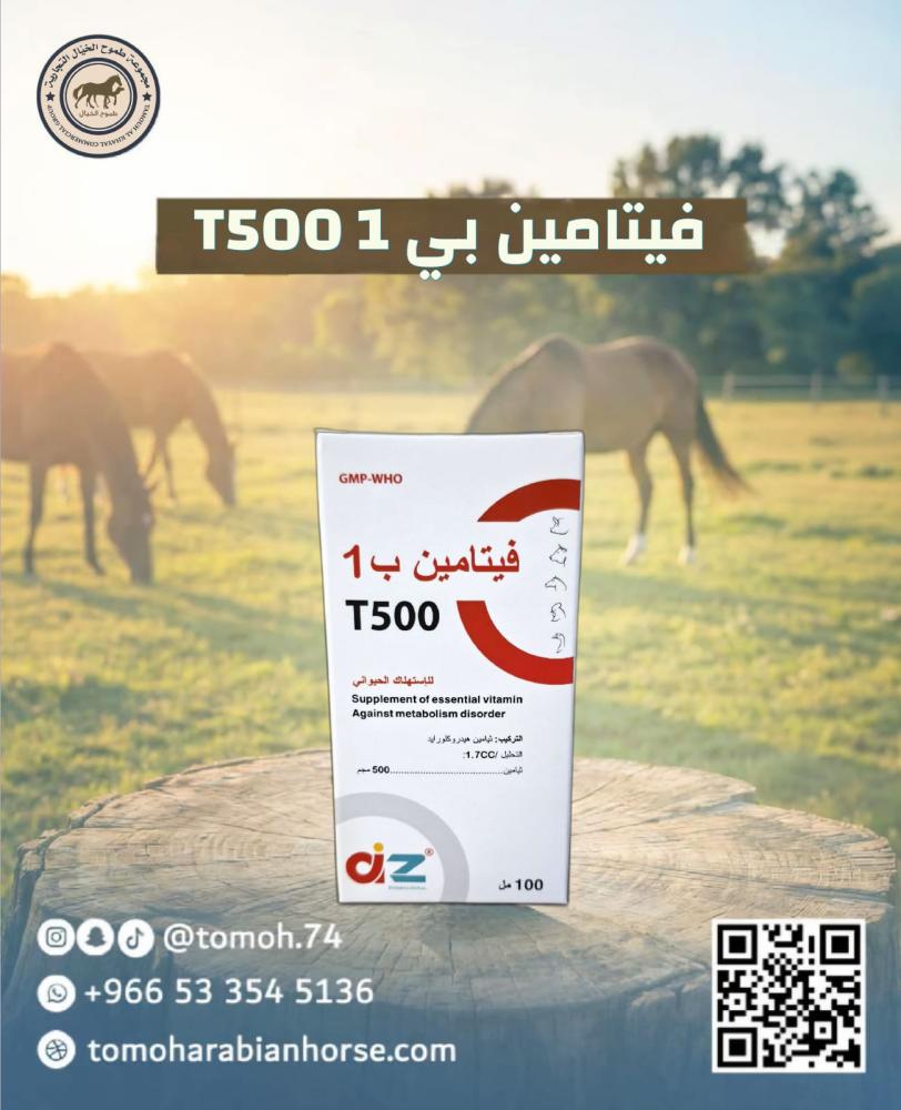 فيتامين ب 1 T500 بي ون