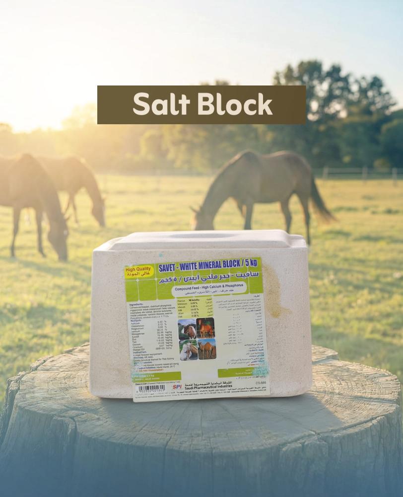 Salt Block