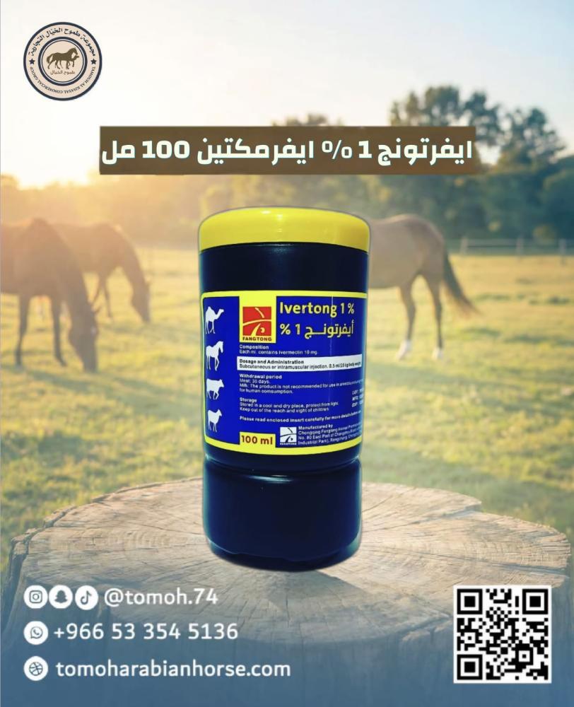 ايفرتونج