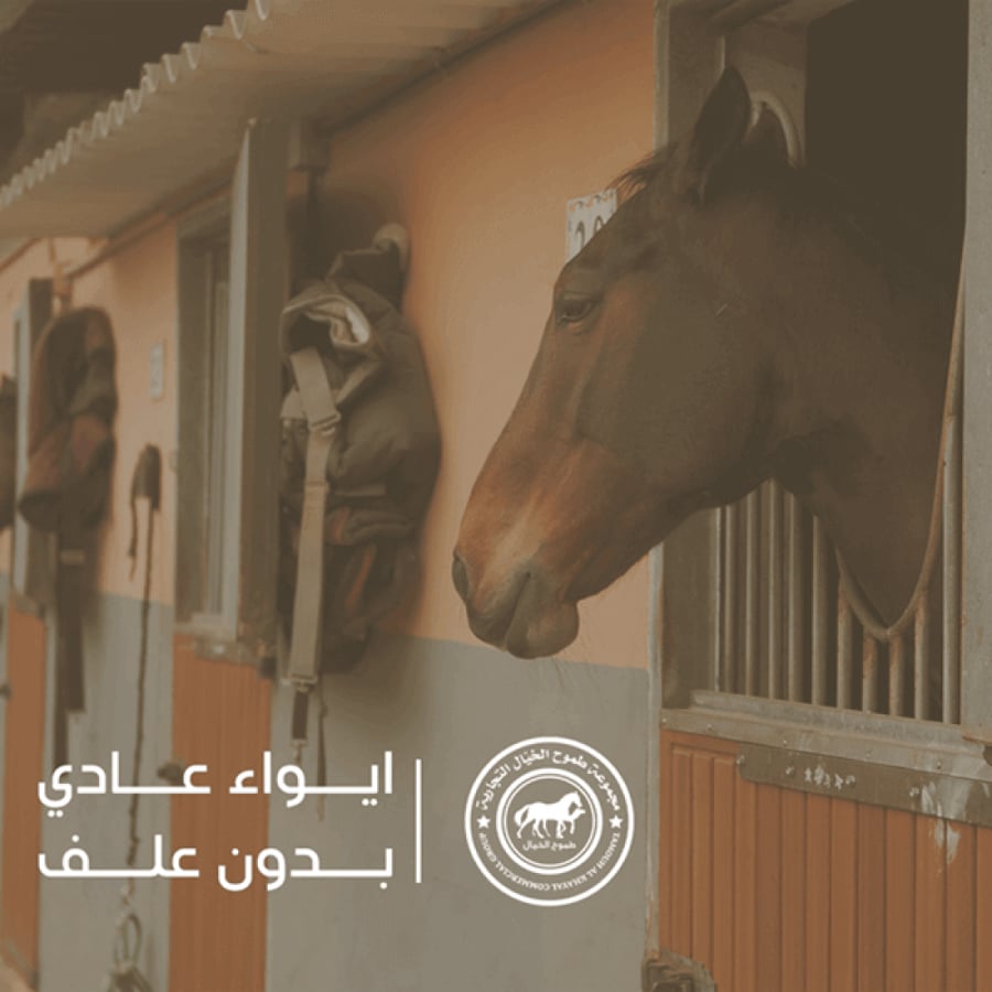 عقد ايواء الخيل العادي مربط الخيل مع رعاية وكشف بيطري في اسطبل طموح الخيال بتبوك