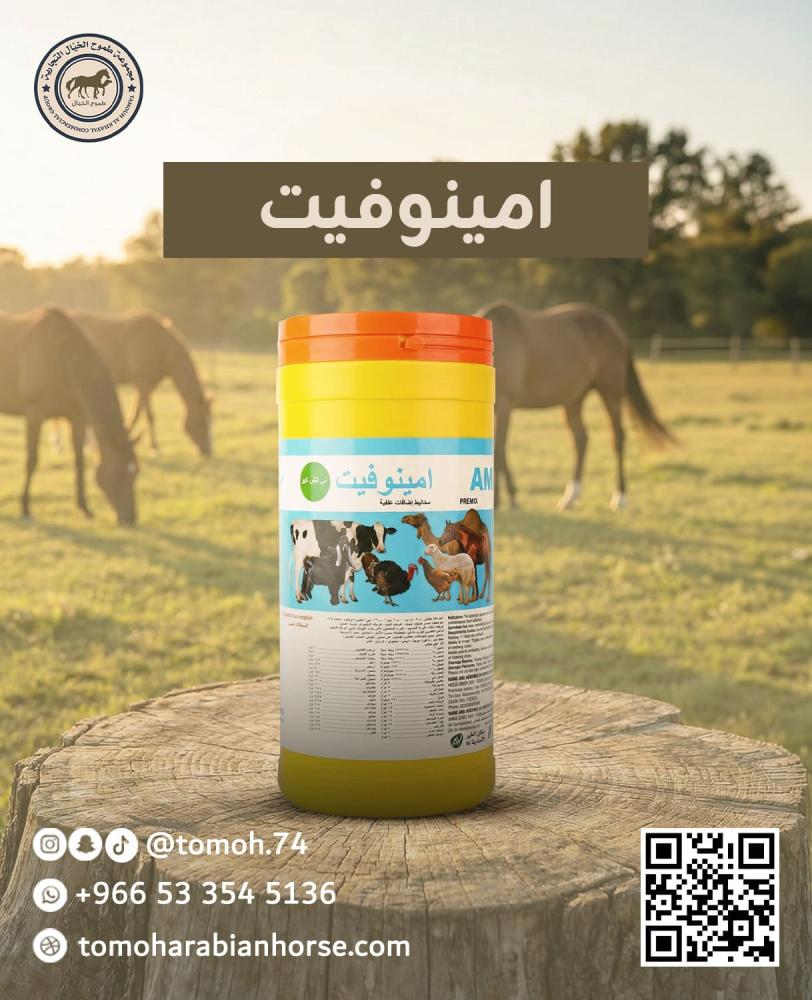 امينوفيت تي اتش كيو مكمل غذائي للحلال