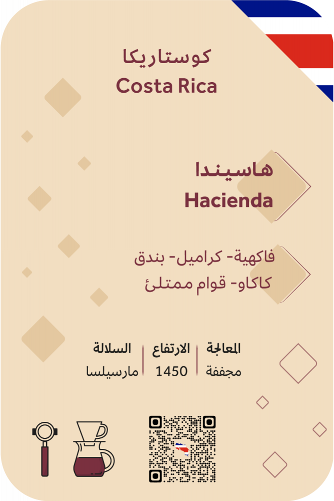 بالم قهوة مختصة - كوستريكا هاسيندا