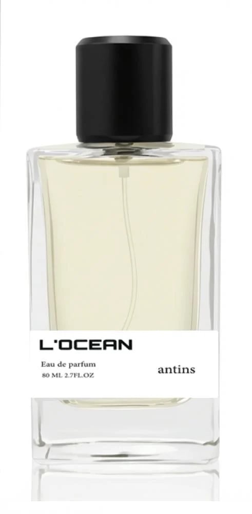 سكاندل انتنس - Antins
