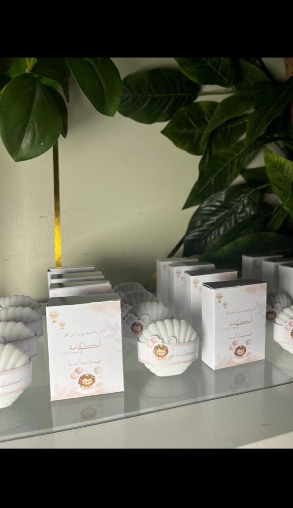بكج استقبال