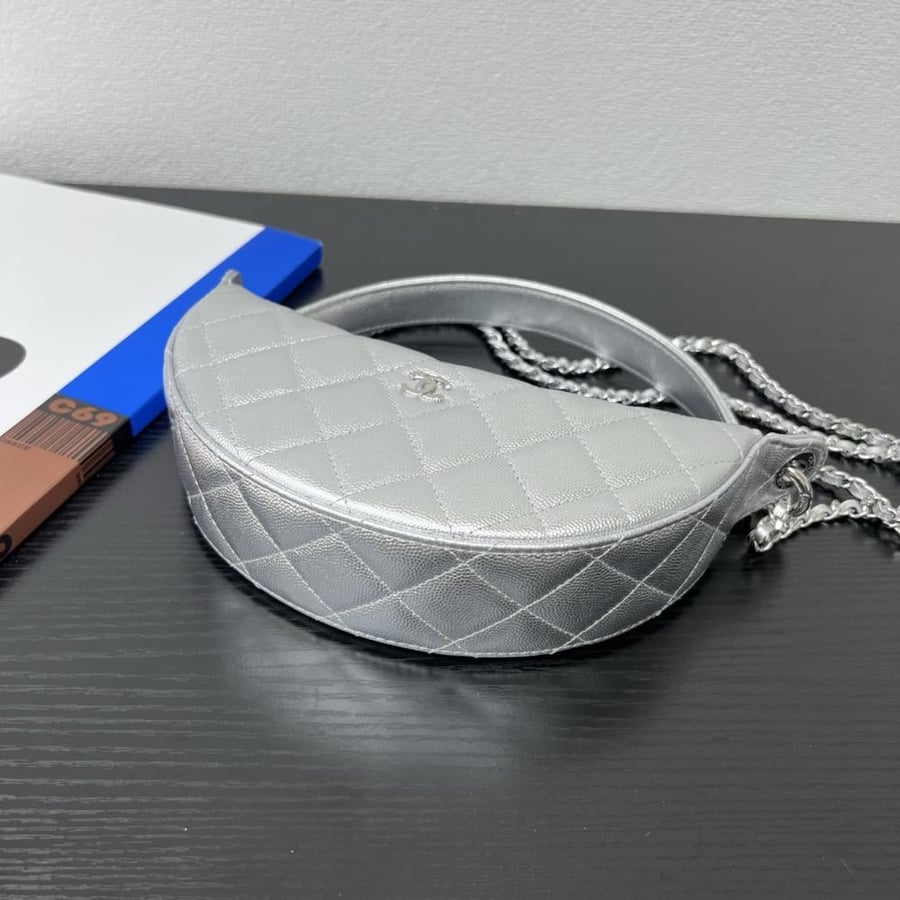 Chanel Quilted Moon Bag