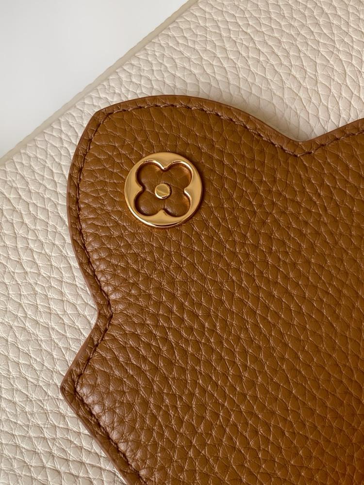 Louis Vuitton Capucines BB Braided Handle Leather Bag