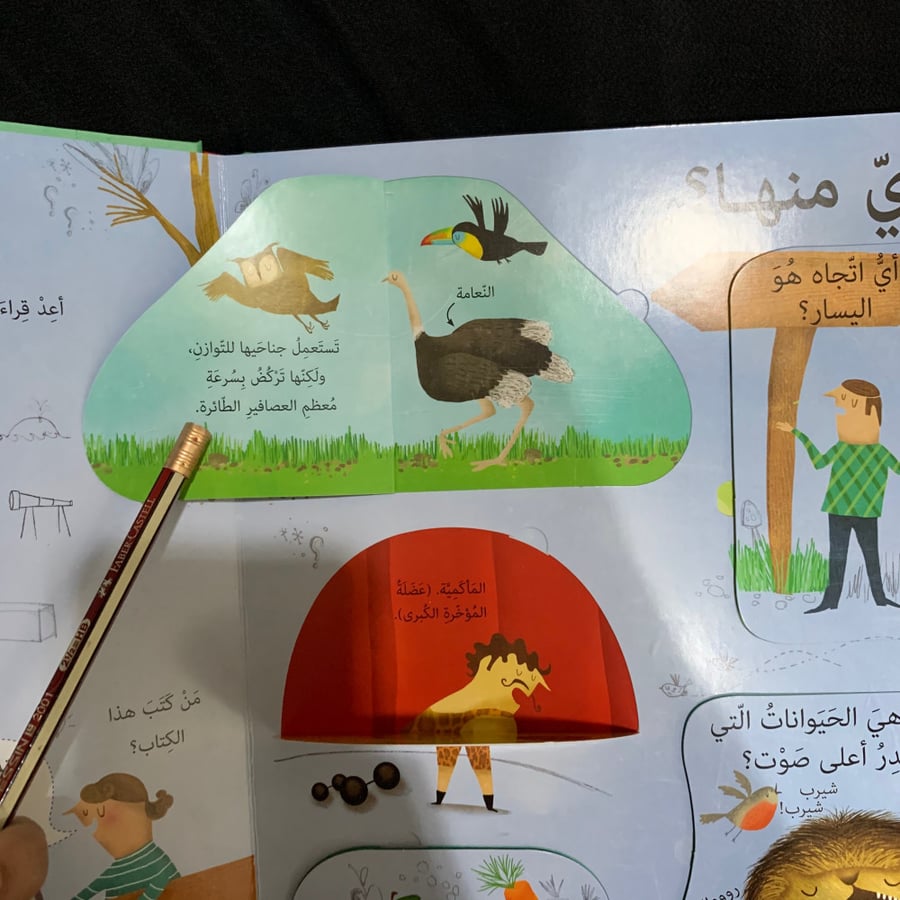 أسئلة وأجوبة - مواضيع عامة