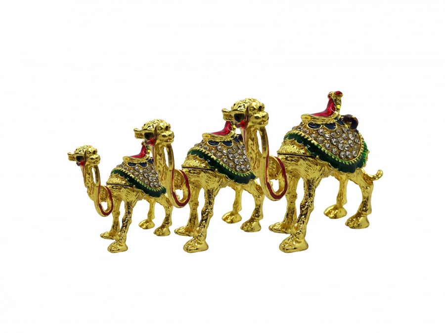 طقم مجسم جمل 1