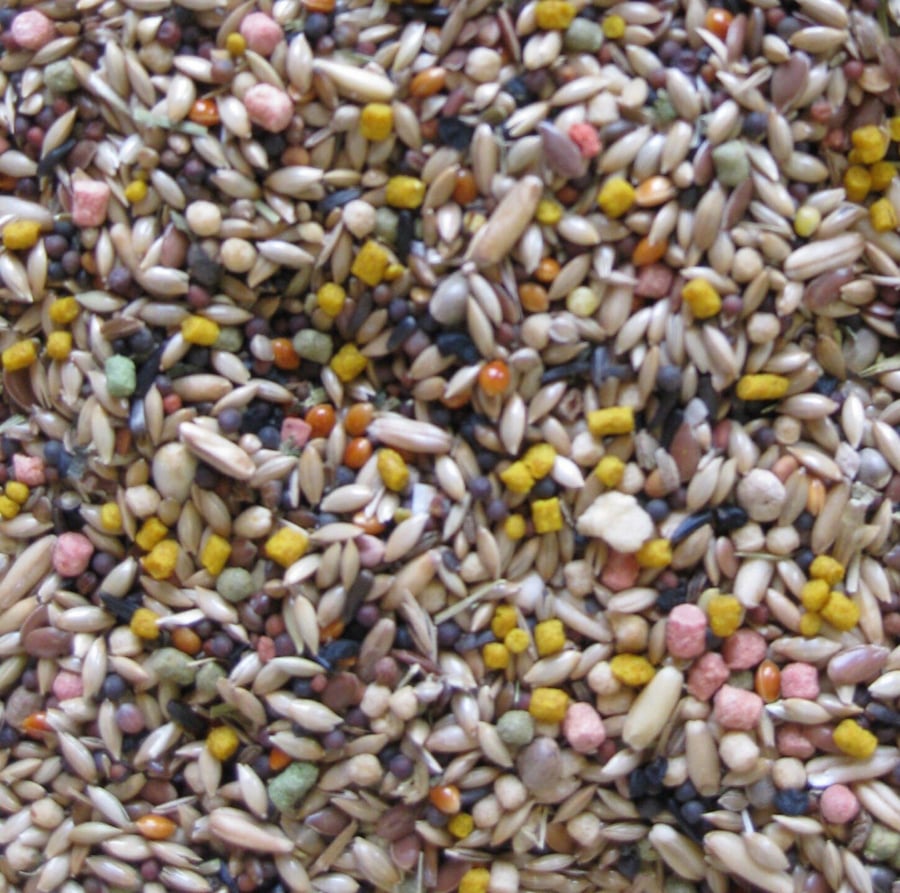 غذاء كامل لطيور الكناري Deli Nature