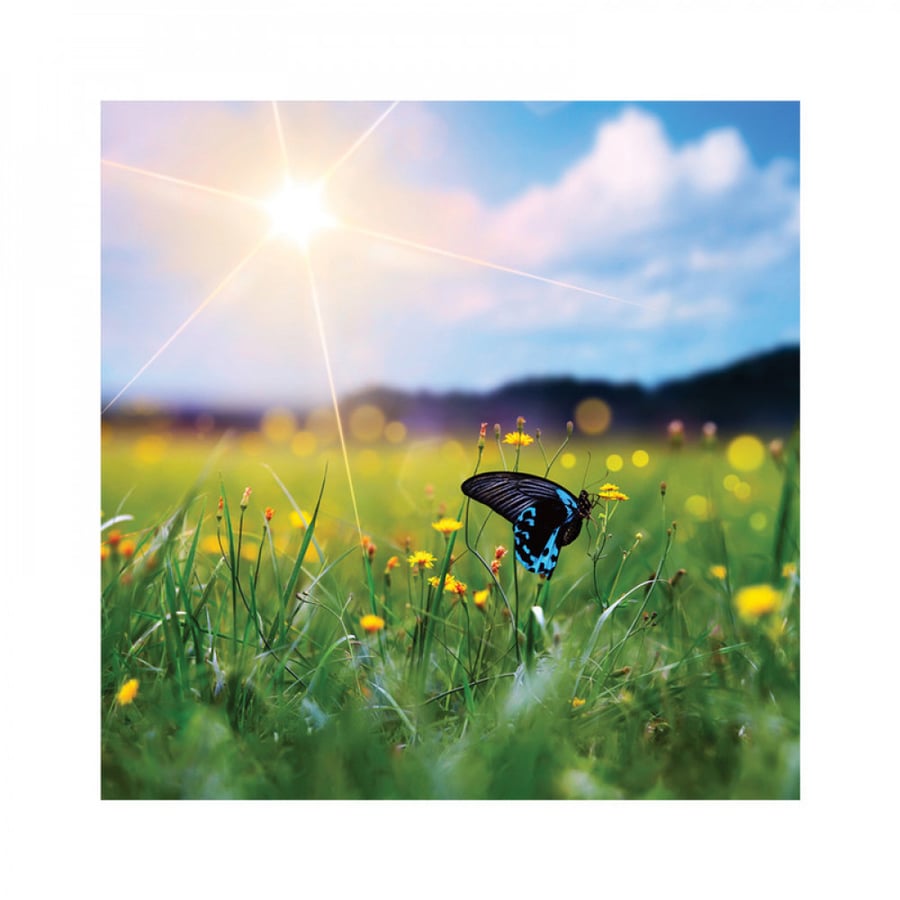 Wall art for home decoration printed on lightweight sturdy board without frame size 60 × 60 cm