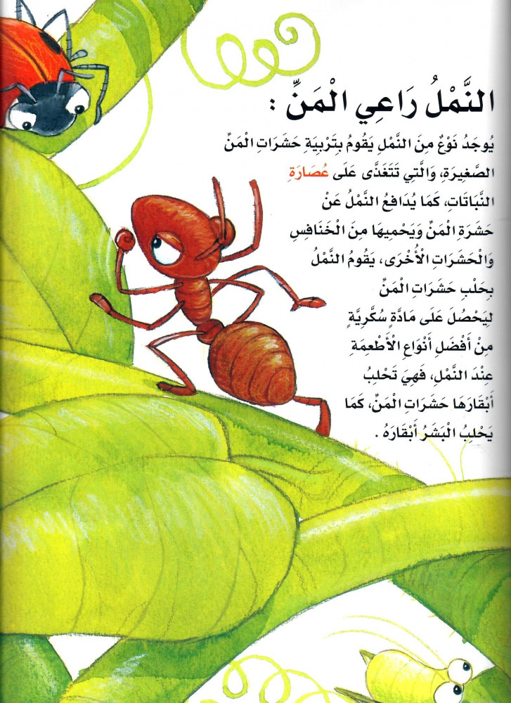 سلسلة اكتشف (4كتب)