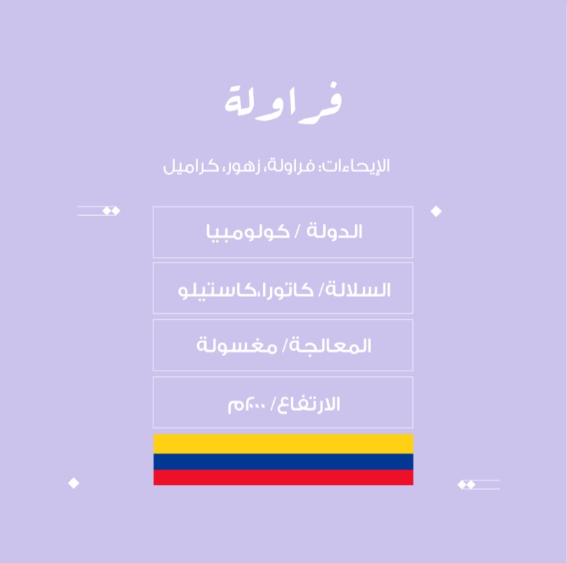 محمصة نسج -فراولة- كولومبيا-مغسولة