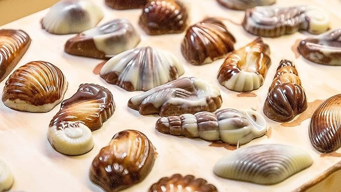 الشوكولاتة البلجيكية الحرفية سي شيلز من جيليان، 33 غم