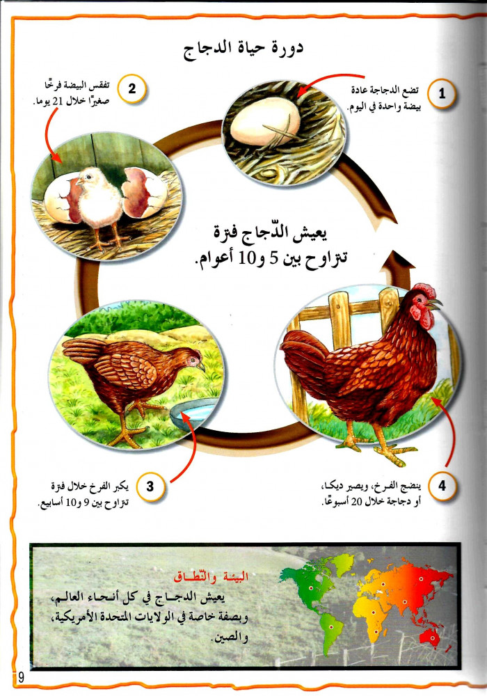 موسوعة الحيوانات - حيوانات المزرعة