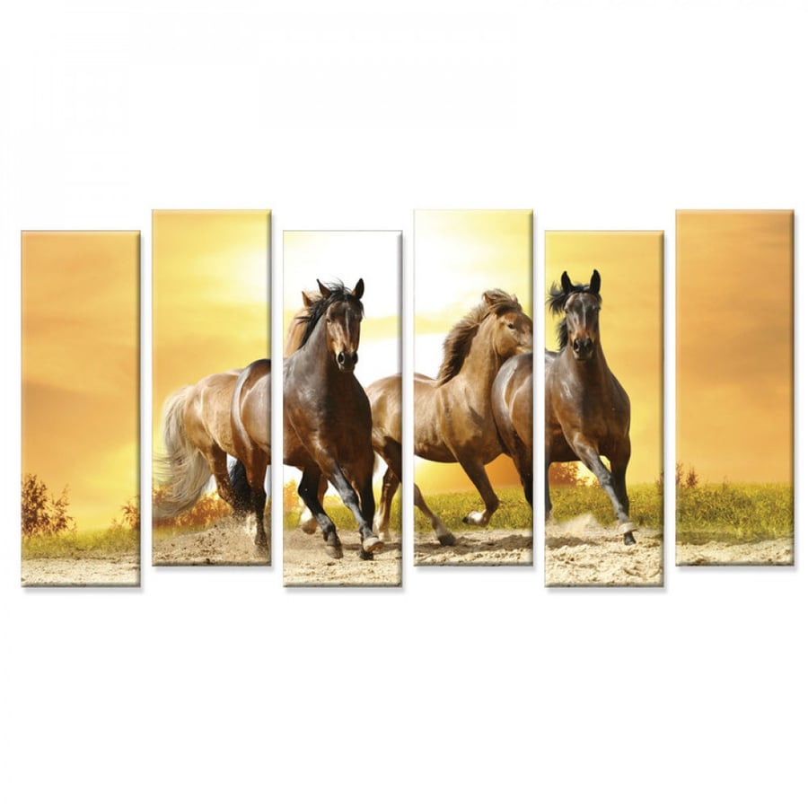 Wall art for home decor printed on canvas fabric with hidden frame size 120 × 60 cm