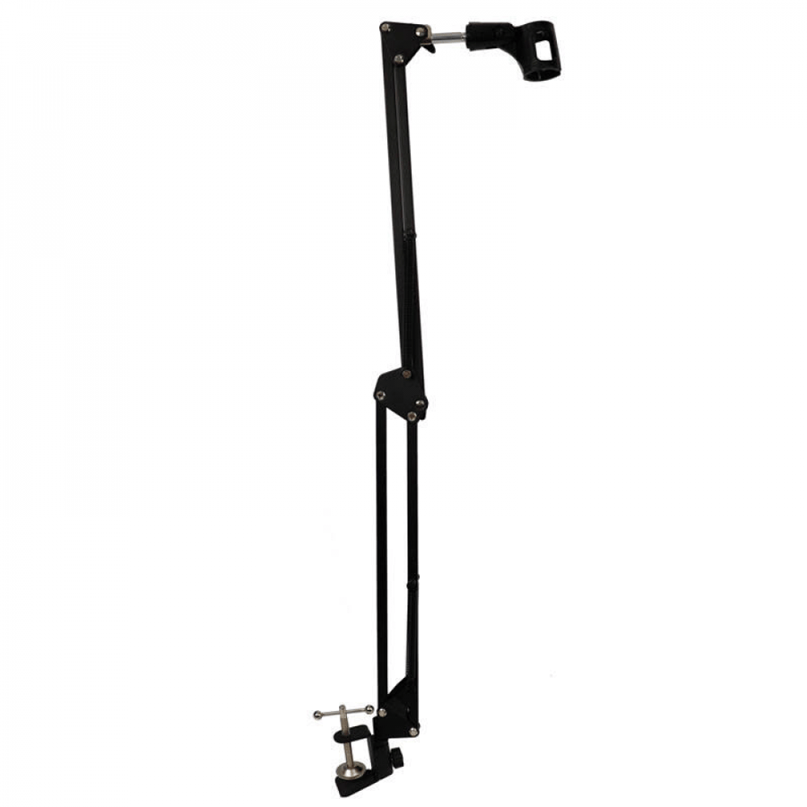 Stand up the Romysy Professional microphone