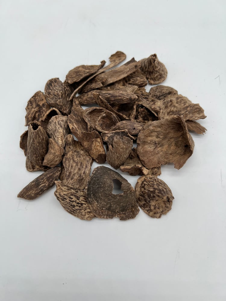 سيلاني ادمز