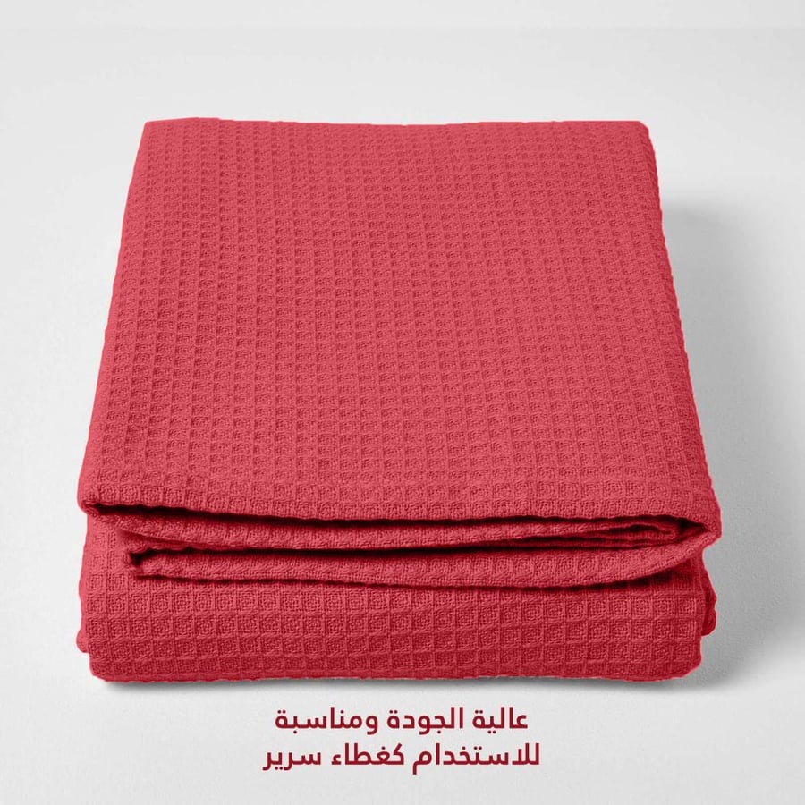 بطانية ساندي الفاخرة قطن 100% - بطيخي | مفرد