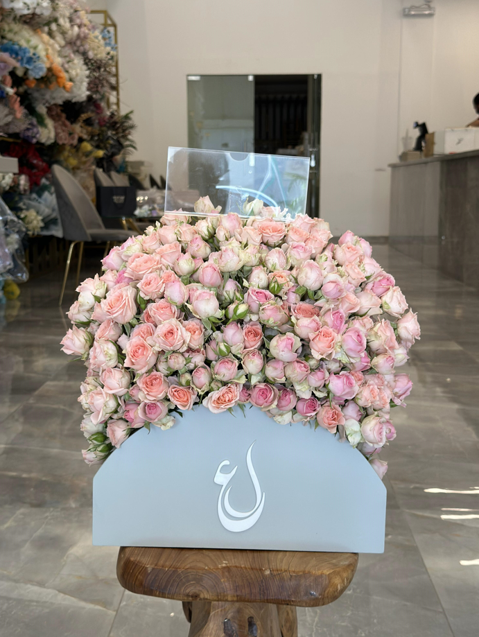 صندوق لامودا الفاخر