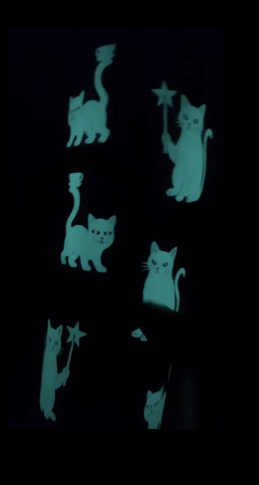 Starbucks black cat cup