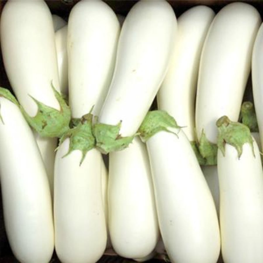 باذنجان ابيض للحشي طازج 1كجم