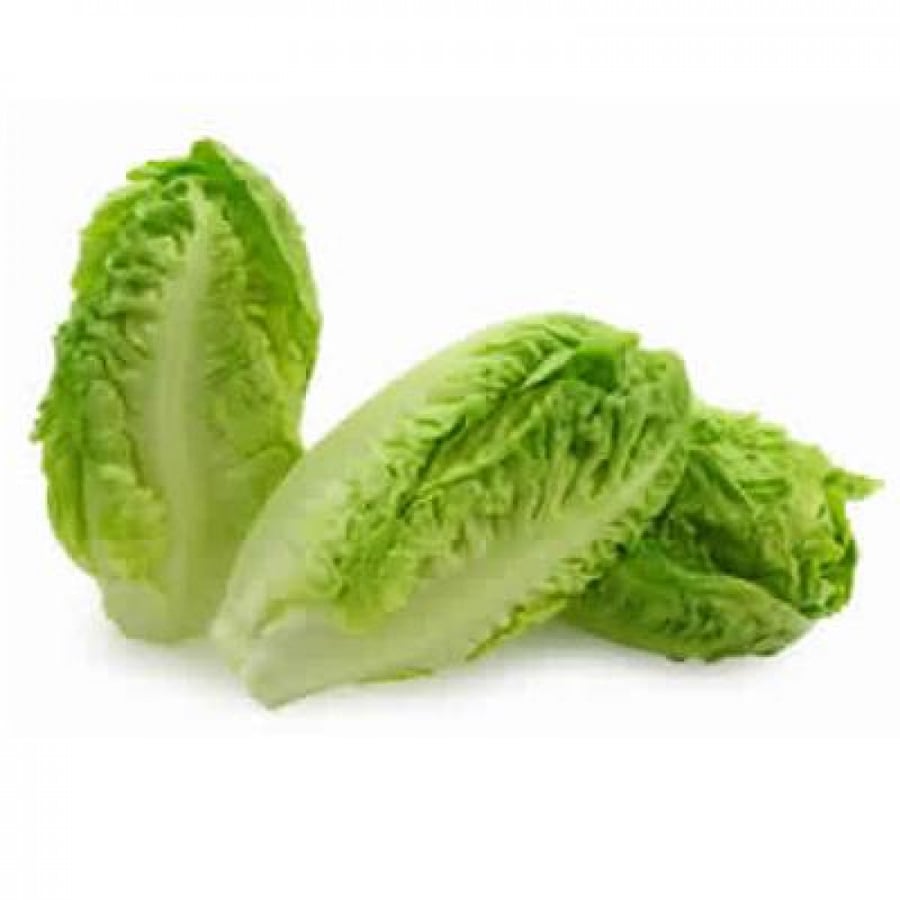 خس بلدي طازج 1كجم