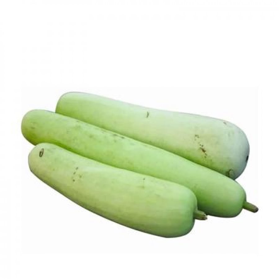 قرع اخضر عناقي طازج 1كجم.25