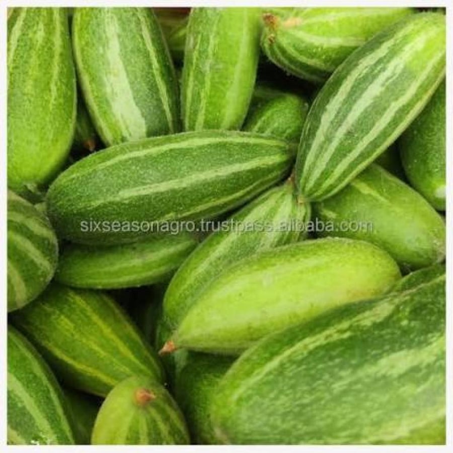 خيار بنجلاديش طازج وزن