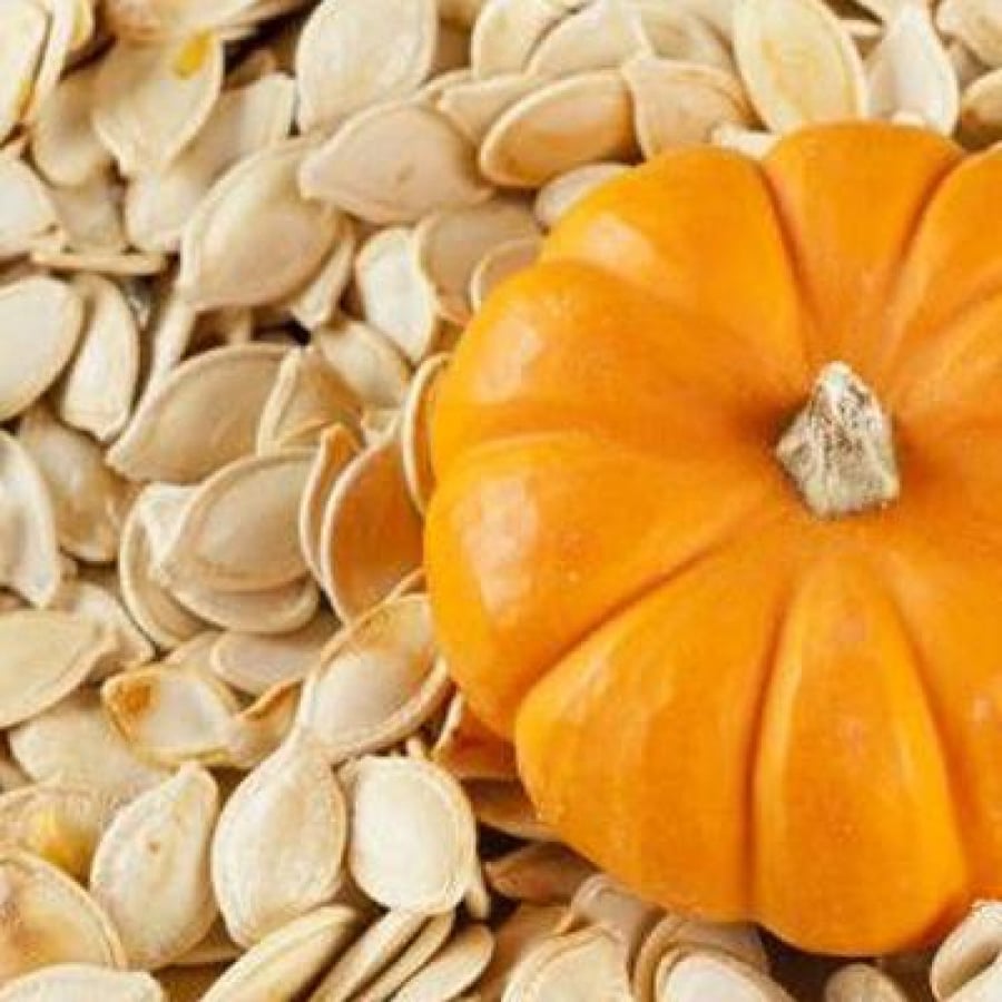 حب قرع بدون ملح / الكيلو