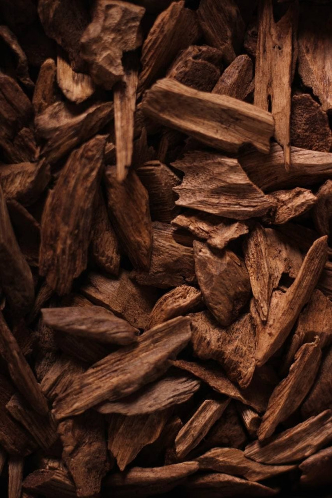 عود سومطري طبيعي