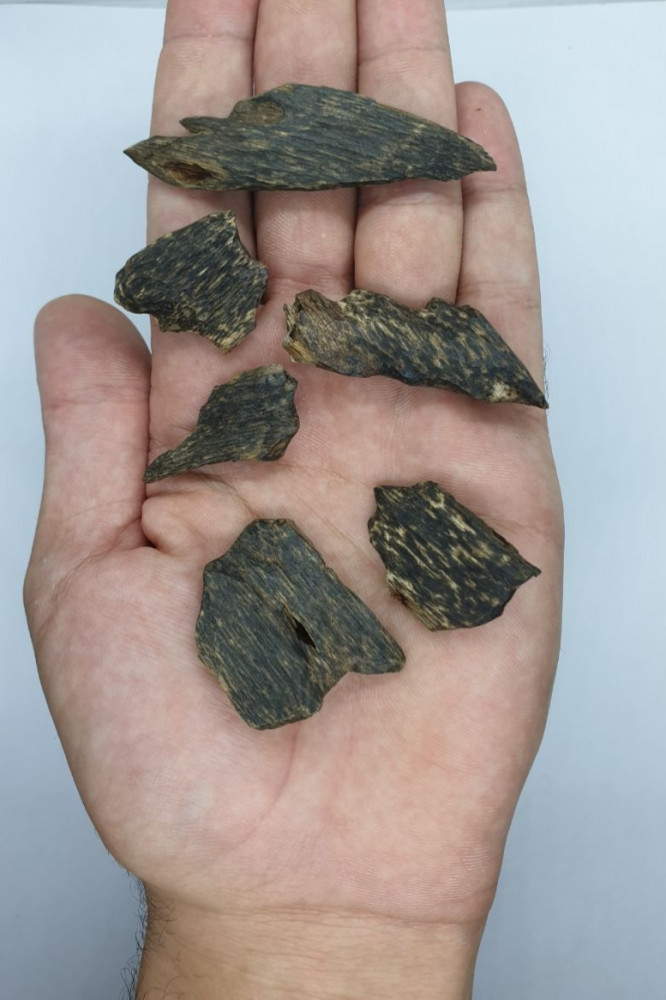 عود بنقالي