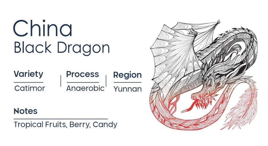 الصين التنين الأسود | China Black Dragon