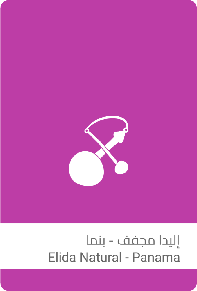 سلالات القهوة - اليدا مجفف #15 - بنما-1000g