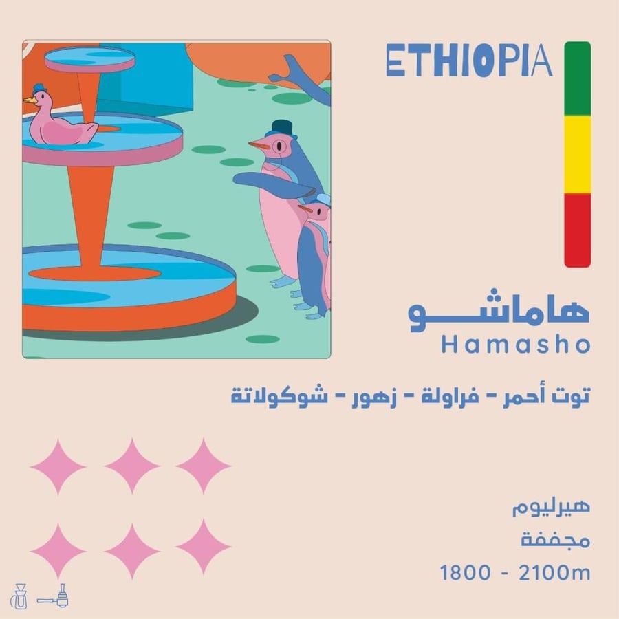 محمصة اولالا -هاماشو - اثيوبيا - مجففة 250 غرام