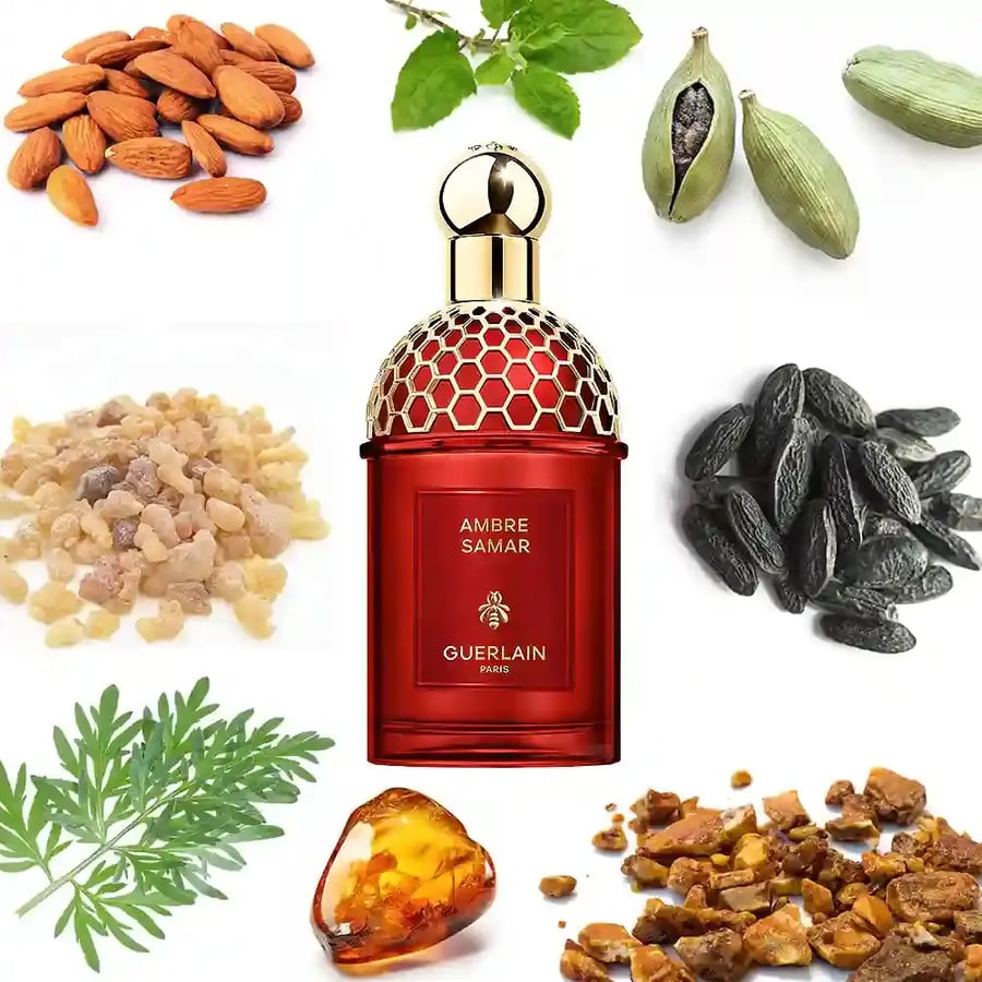 عطر جيرلان ابسولس اليغوريا عنبر سمر او دو بارفيوم 125مل
