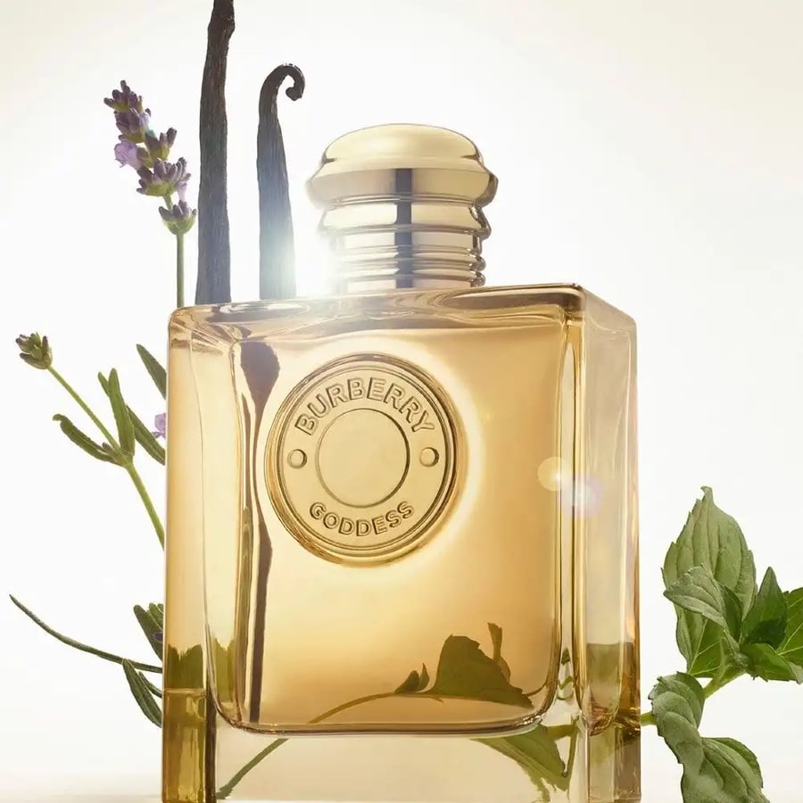 عطر بربري جوديس نسائي او دو بارفيوم انتنس 100مل