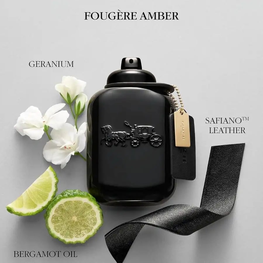 عطر كوتش نيويورك الرجالي او دو بارفيوم 100مل