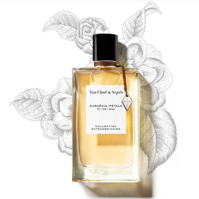 عطر فان كليف جاردينيا بيتال او دو بارفيوم 75مل