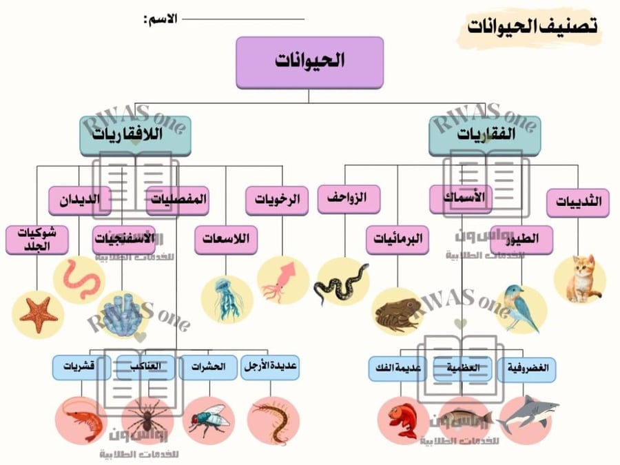 خريطة مفاهيم (الحيوانات) رابع ابتدائي