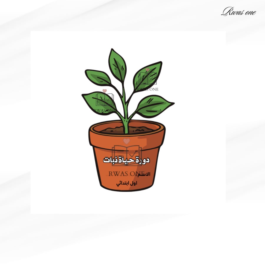 مطوية دورة حياة نبات