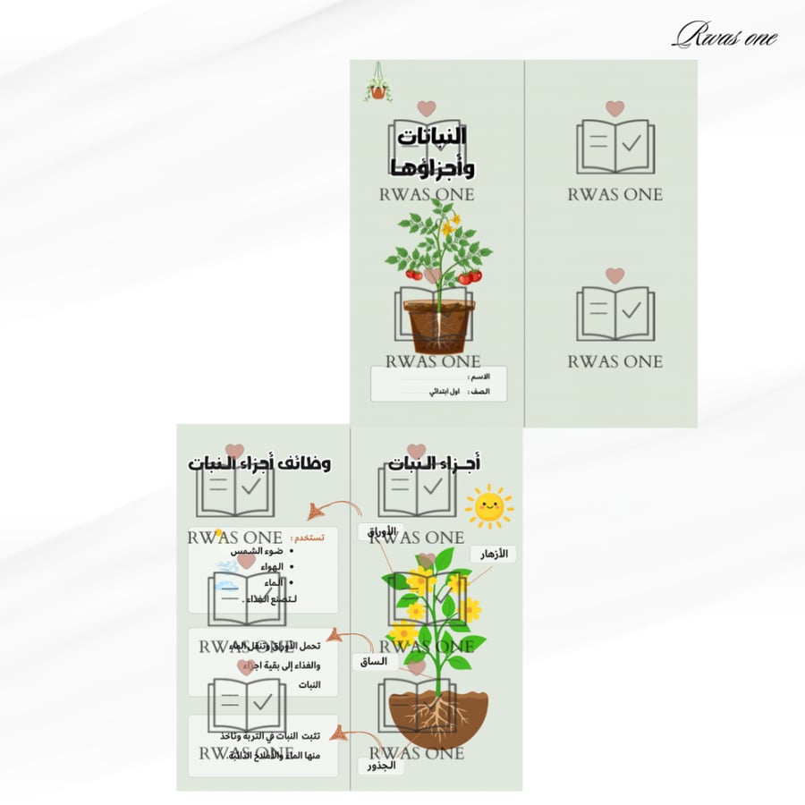 مطوية علوم اول ابتدائي ( النباتات وأجزاؤها )