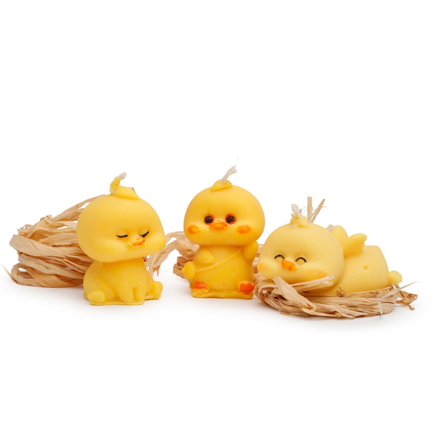 Cute chicks