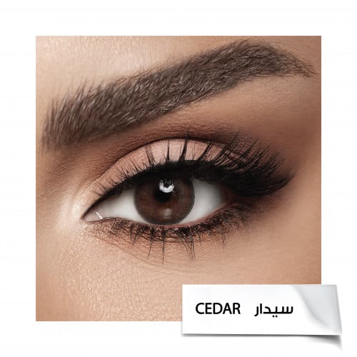 عدسات ديفا الشهريه ملونة –سيدار Cedar