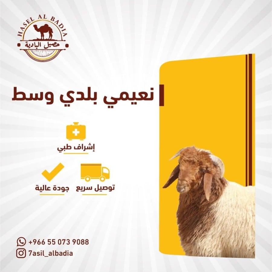 نعيمي بلدي جذع